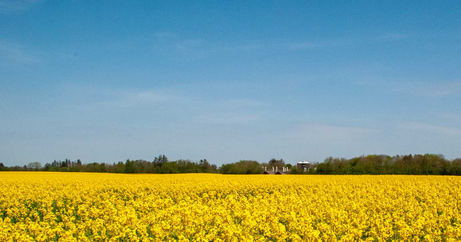 Landbrugsloven: Landinspektør erklæringer f.eks ophævelse af landbrugspligt